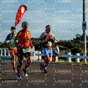 La Floresta - Dorsal 511