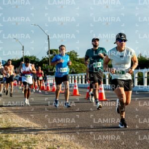 La Floresta - Dorsal 650