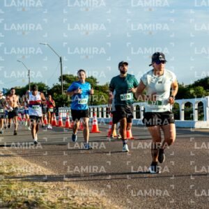 La Floresta - Dorsal 650