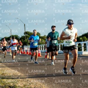 La Floresta - Dorsal 650