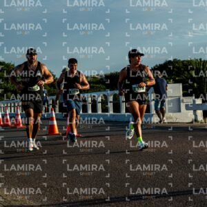 La Floresta - Dorsal 650