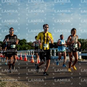 La Floresta - Dorsal 866