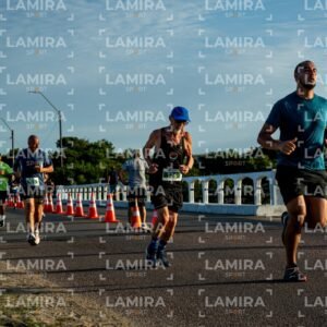 La Floresta - Dorsal 703