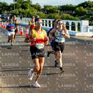 La Floresta - Dorsal 494