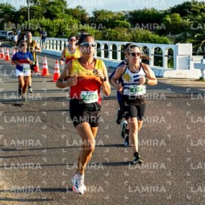 La Floresta - Dorsal 494