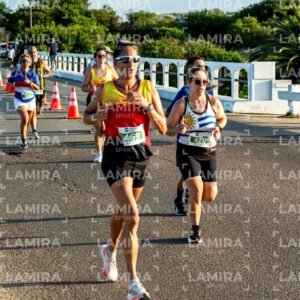 La Floresta - Dorsal 494