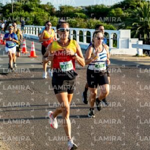 La Floresta - Dorsal 494