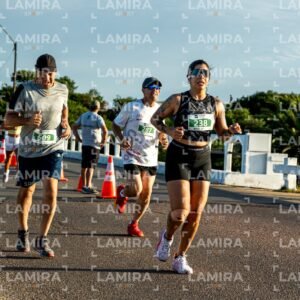 La Floresta - Dorsal 509