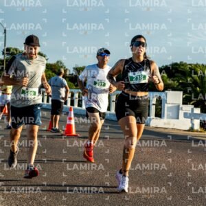 La Floresta - Dorsal 509