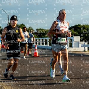 La Floresta - Dorsal 833