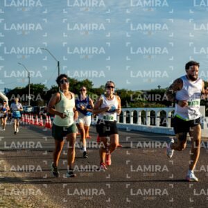 La Floresta - Dorsal 597