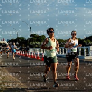 La Floresta - Dorsal 597