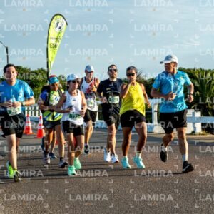 La Floresta - Dorsal 556