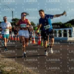 La Floresta - Dorsal 441