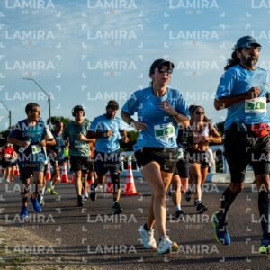 La Floresta - Dorsal 643