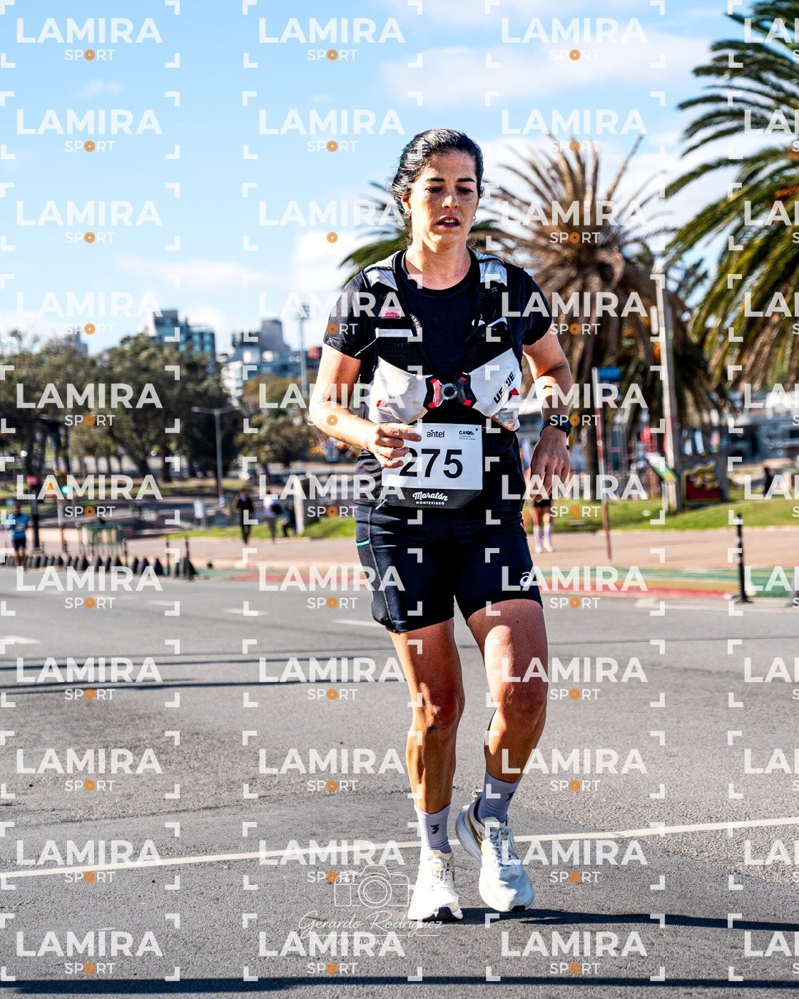 Maratón de Montevideo - Dorsal 275