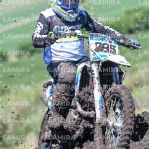 miguelete - Dorsal 295