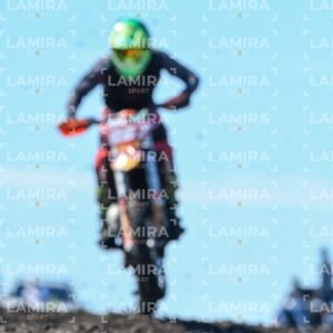 miguelete - 000_3498.jpg