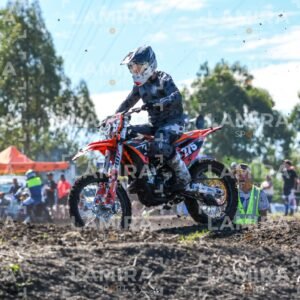 miguelete - Dorsal 275