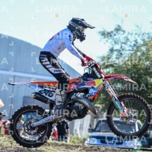 miguelete - Dorsal 246