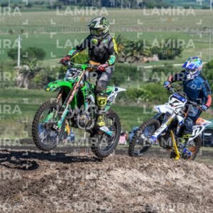 miguelete - Dorsal 291