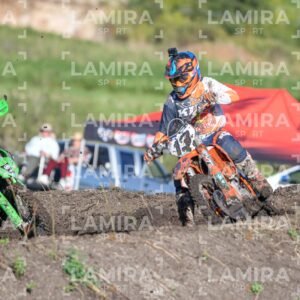 miguelete - Dorsal 15