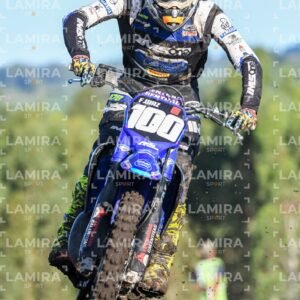 miguelete - Dorsal 100