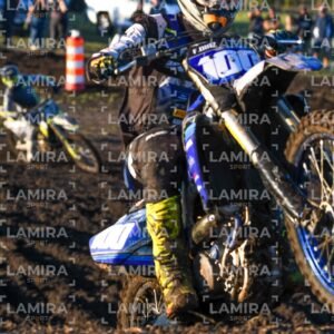 miguelete - Dorsal 7224