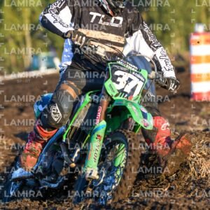 miguelete - Dorsal 37