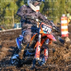 miguelete - Dorsal 275