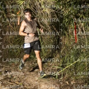 Night Trail - Dorsal 329