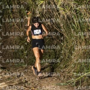 Night Trail - Dorsal 48