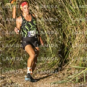 Night Trail - Dorsal 445