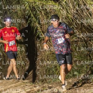 Night Trail - Dorsal 511