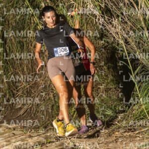 Night Trail - Dorsal 306