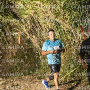 Night Trail - Dorsal 310