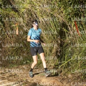 Night Trail - DAC_0442.png