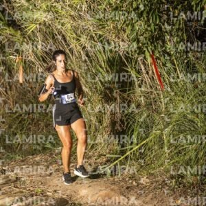 Night Trail - Dorsal 84