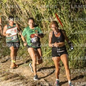 Night Trail - Dorsal 638