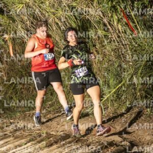 Night Trail - Dorsal 484