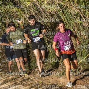 Night Trail - Dorsal 2026