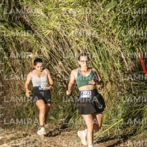 Night Trail - Dorsal 1024