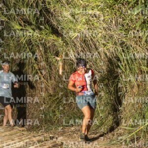 Night Trail - Dorsal 398