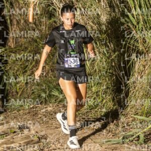 Night Trail - Dorsal 2026