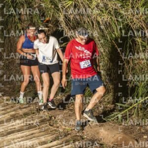 Night Trail - Dorsal 2651