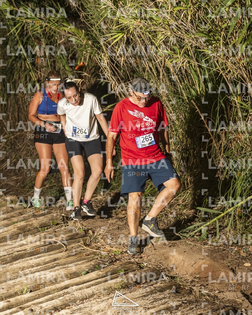 Night Trail - Dorsal 2651