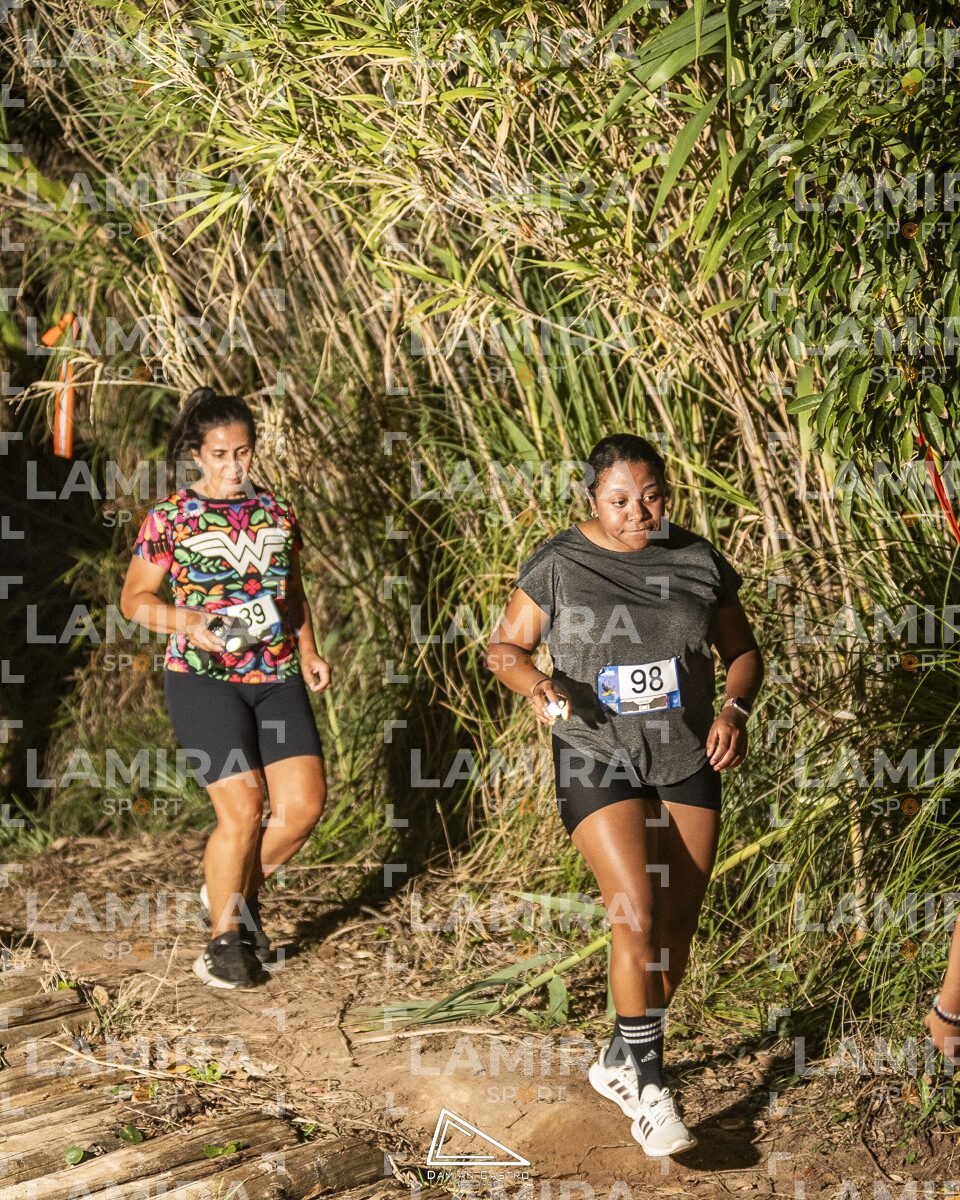 Night Trail - Dorsal 98