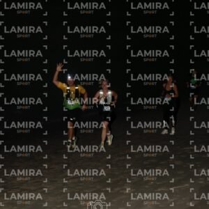 Night trail - Dorsal 260