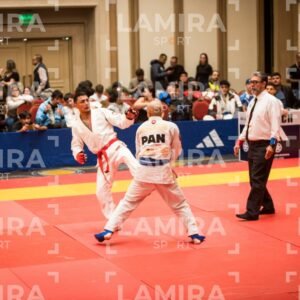 PANAMERICANO DE JIU-JITSU - JIUJITSU-1065.jpg