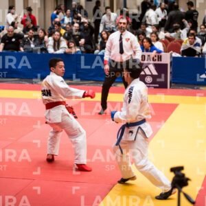 PANAMERICANO DE JIU-JITSU - JIUJITSU-1118.jpg
